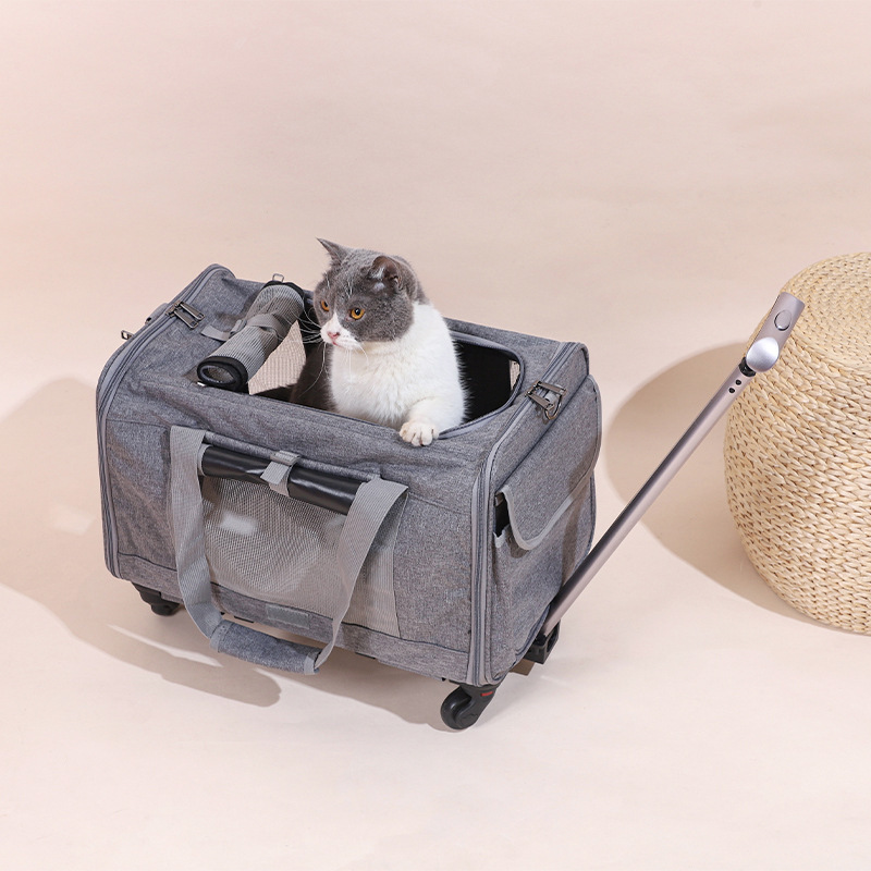 Breathable, Foldable Cat Carrier With A Pull Handle For Outdoor Pet Transport