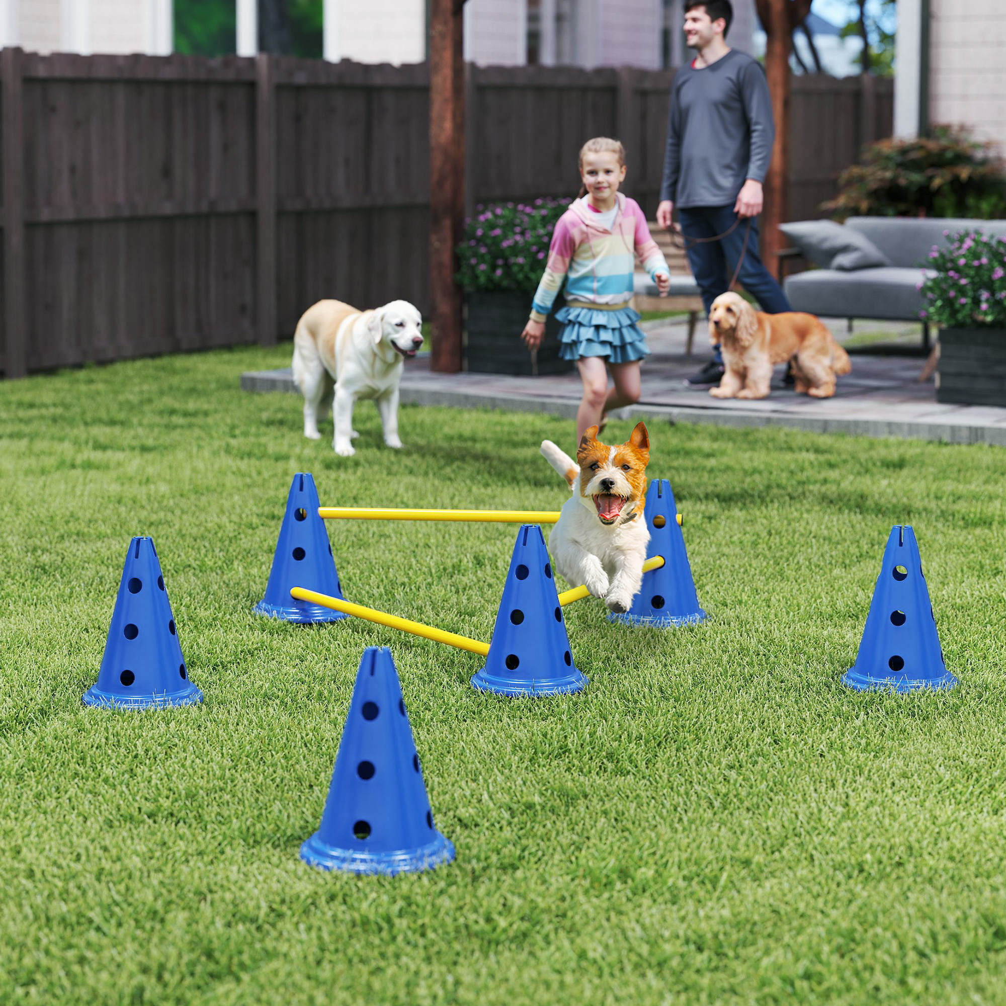 Dog Agility Equipment Set Of Six Cones, Six Poles With Carry Bag, Three-Piece Adjustable…