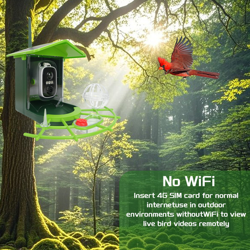 Smart Recognition Birdwatching Feeder With Camera And Solar Power