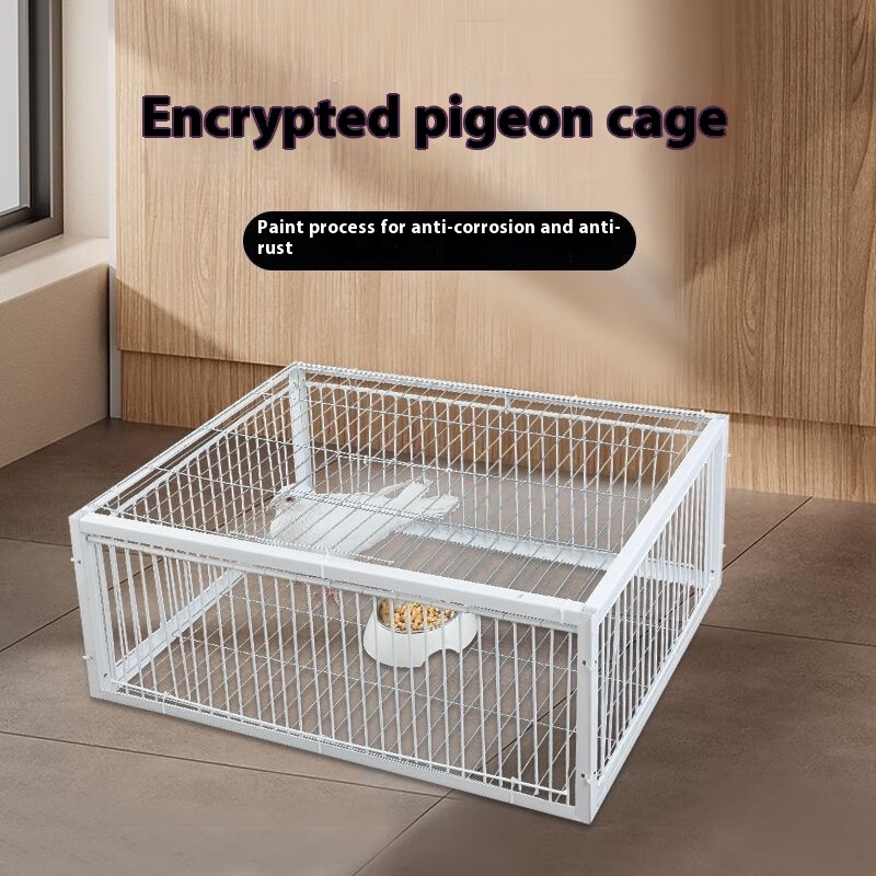 Pigeon Active Network Door Encrypted Return Cage