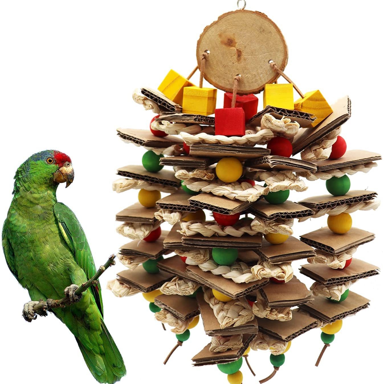 Parrot Logs Gnawing On Corn Husks And Skewers
