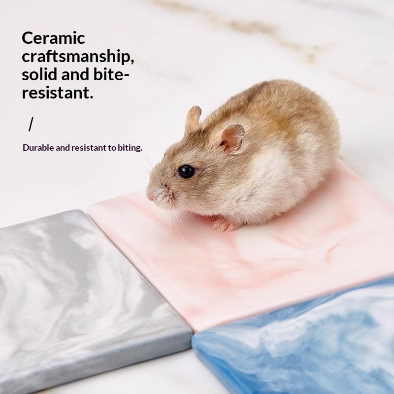 Hamster Ceramic Cooling Plate Ice Mat Cooling Mat
