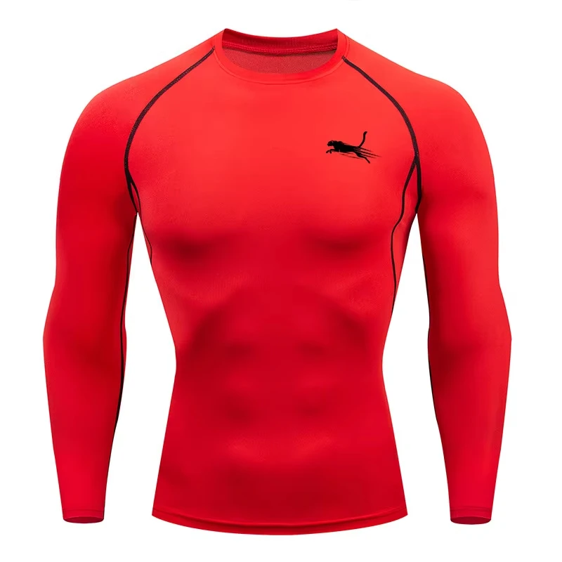 Men's Long Sleeves Fitness T-shirt Dry Fit Gym T-shirt Sportswear Outdoor Sports Running Tees Tops For Men photo 3