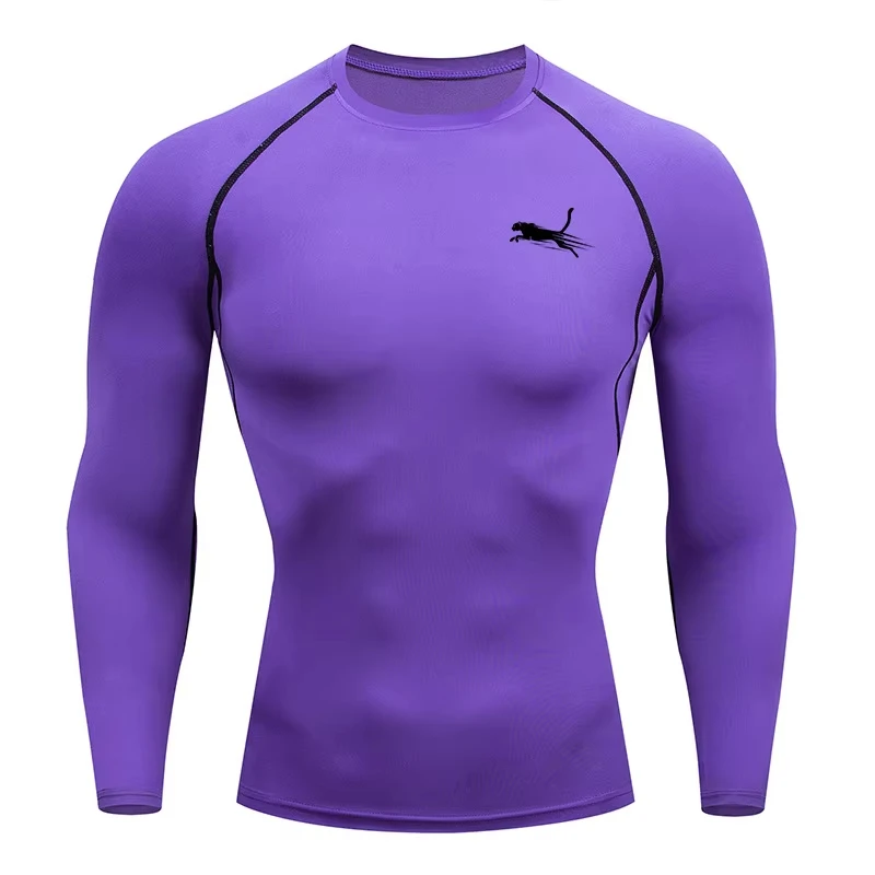 Men's Long Sleeves Fitness T-shirt Dry Fit Gym T-shirt Sportswear Outdoor Sports Running Tees Tops For Men photo 4