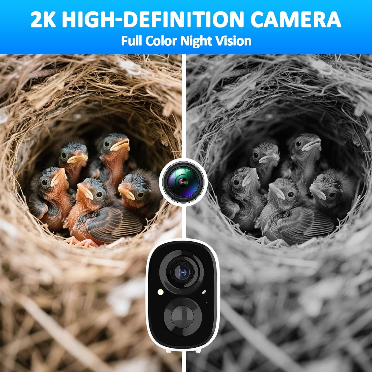 Smart Bird Houses For Outside Solar Powered,4MP Birdhouse Camera For Outdoors, Watch Bird Nesting & Hatching In Real Time, AI Identify Bird Behavior & Create, DIY Ideal Gift photo 6