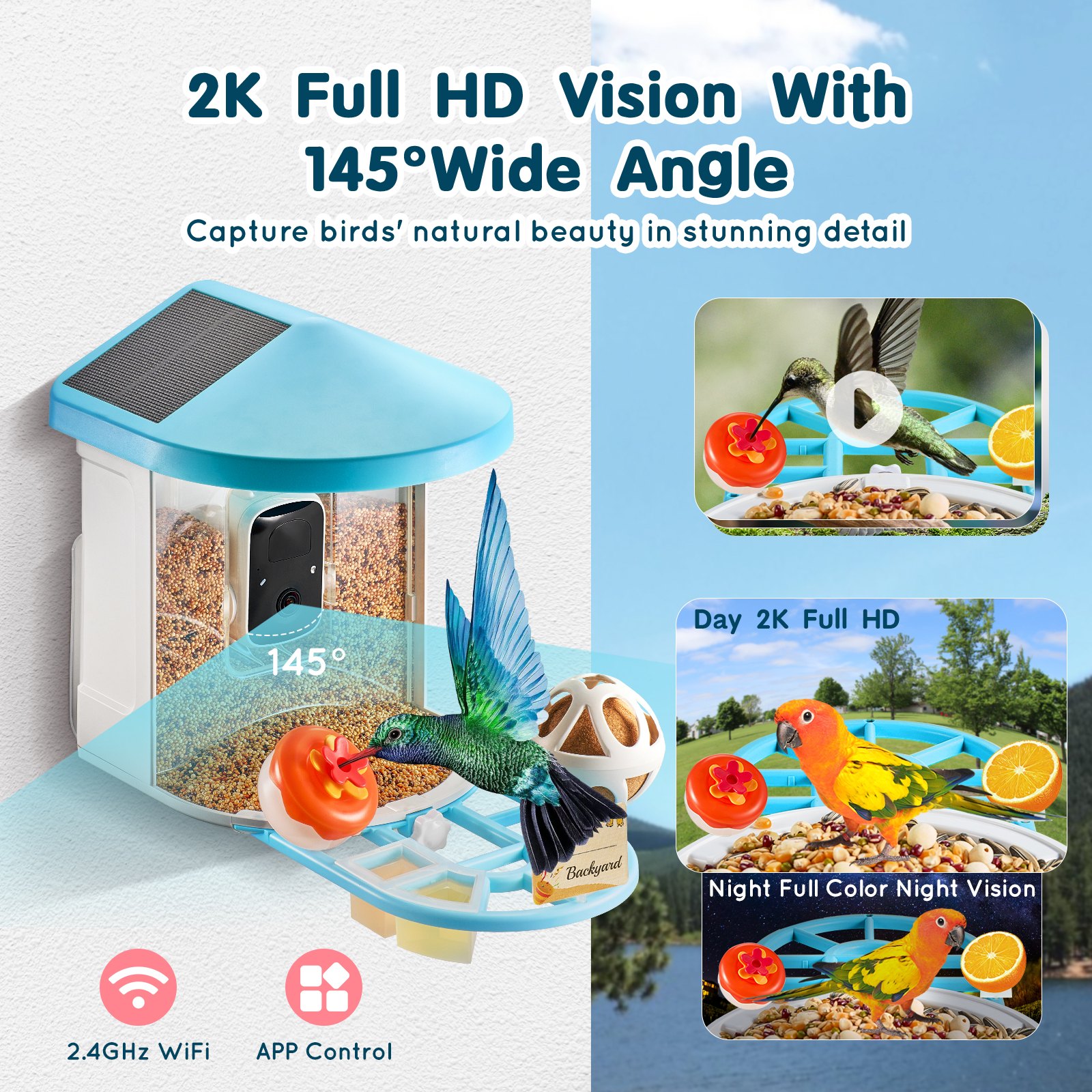 Smart Bird Feeder With Camera AI Identify 10000+ Bird Specie Solar-Powered photo 2