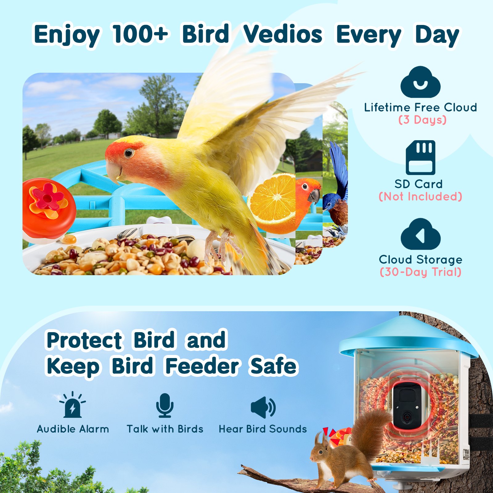 Smart Bird Feeder With Camera AI Identify 10000+ Bird Specie Solar-Powered photo 5