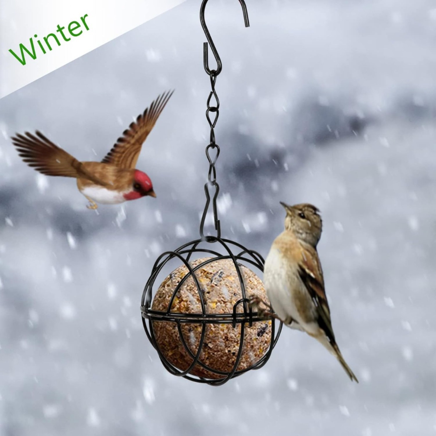 Set Of 4 Titmouse Suet Holder Bird Feeder Station For Hanging, Metal Bird Feeder With S-Shaped Hooks, Feeder For Wild Birds, Garden, Diameter 7 Cm, Black photo 2
