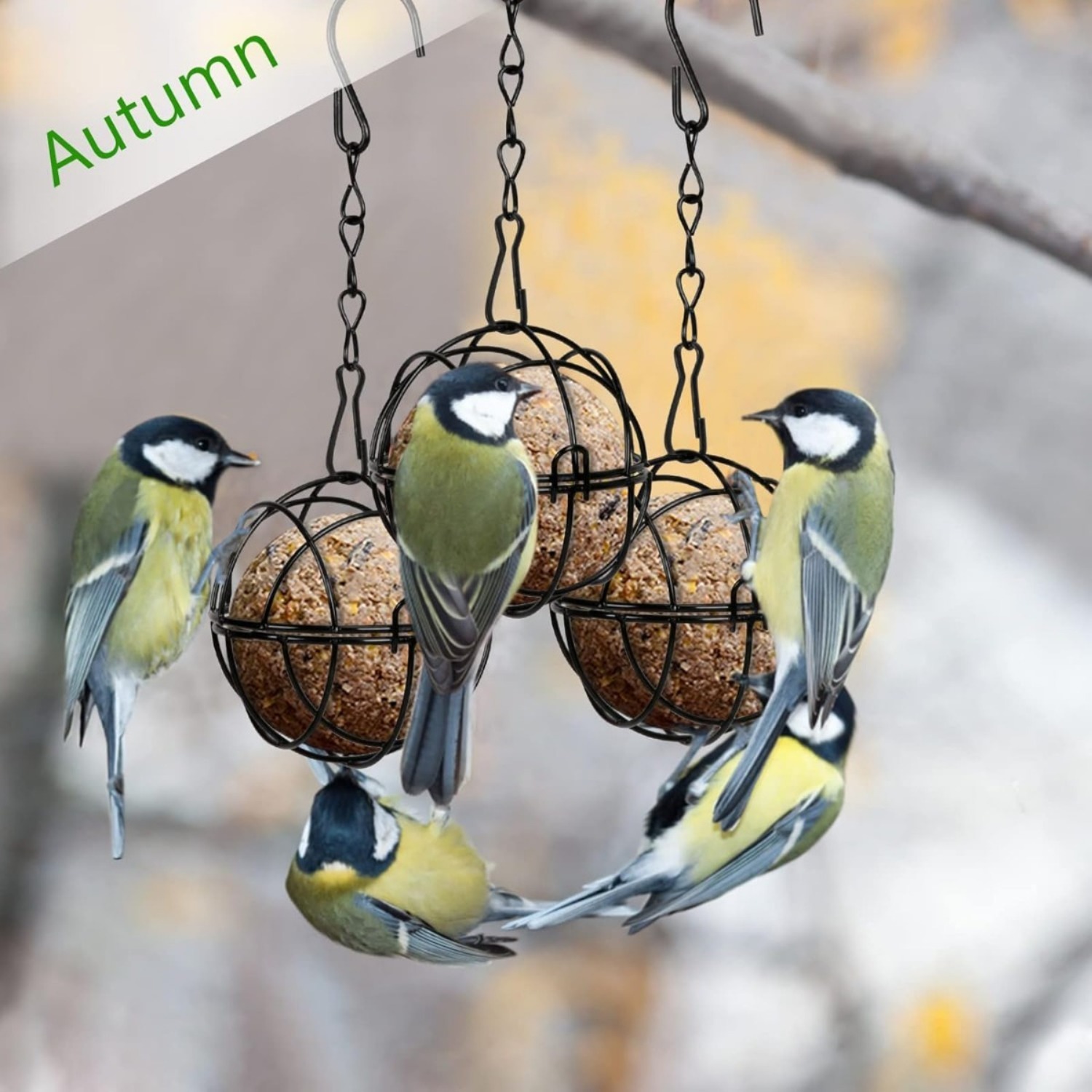 Set Of 4 Titmouse Suet Holder Bird Feeder Station For Hanging, Metal Bird Feeder With S-Shaped Hooks, Feeder For Wild Birds, Garden, Diameter 7 Cm, Black photo 5