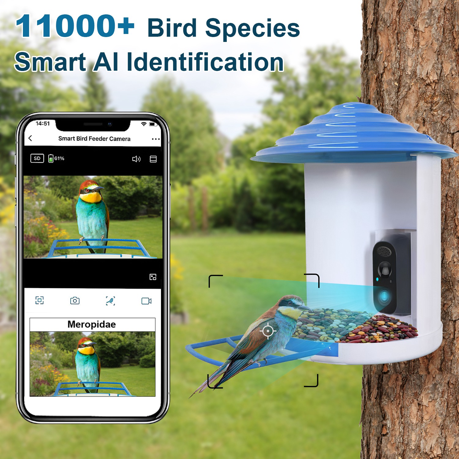 Smart Bird Feeder With Solar Powered Camera 1080P HD AI Identify PIR Motion Auto Capture Video Cloud Card Storage WiFi Connection App Control IP65 Waterproof photo 5