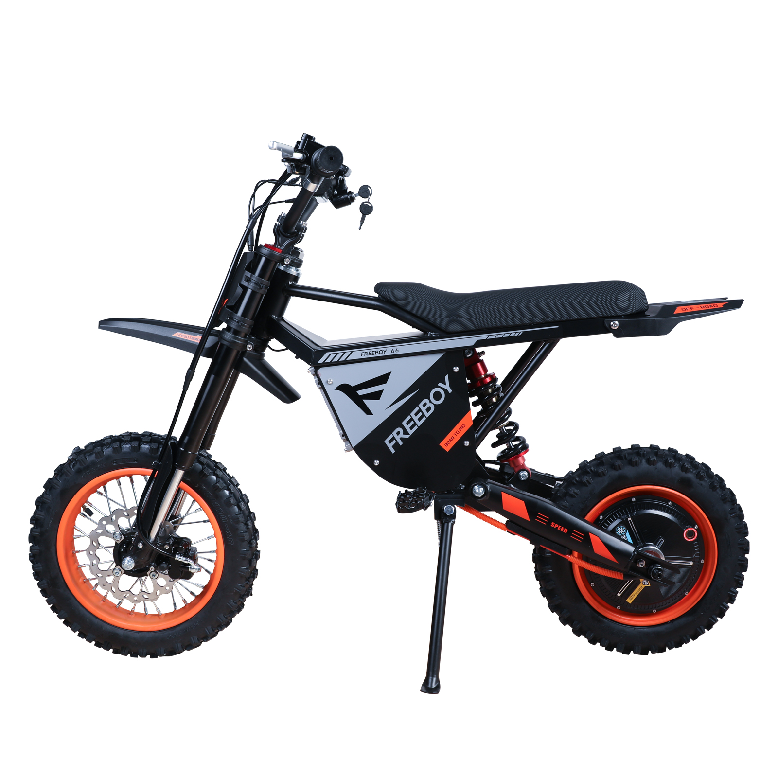 Y66 Iron Frame 3000W Electric Motorcycle With 20 Mph Off-road Model photo 1