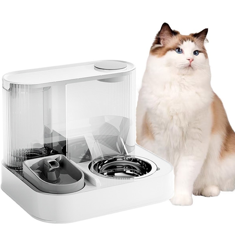 2 In 1 Automatic Cat Feeder Water Dispenser Dry Wet Pet Dog Puppy Food Dispenser photo 2