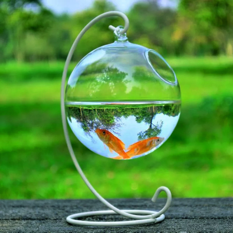 Hanging Glass Vase Fish Tank photo 1