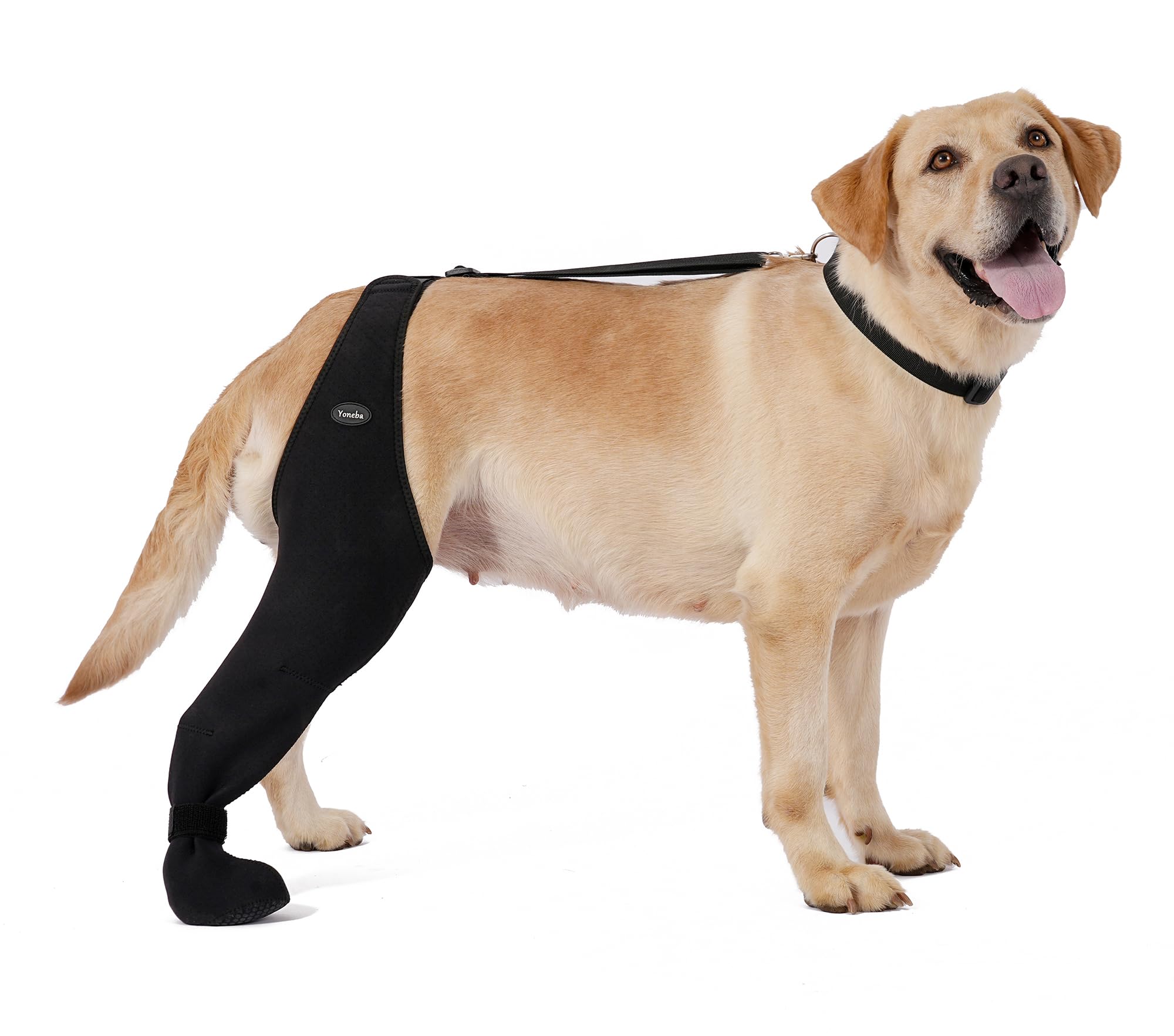 Dog Socks To Prevent Licking Paws , Breathable Leg Sleeve To Stop Licking And Biting,  Firm And Secure Adjustable Size Dog Recovery Sleeve Socks photo 2