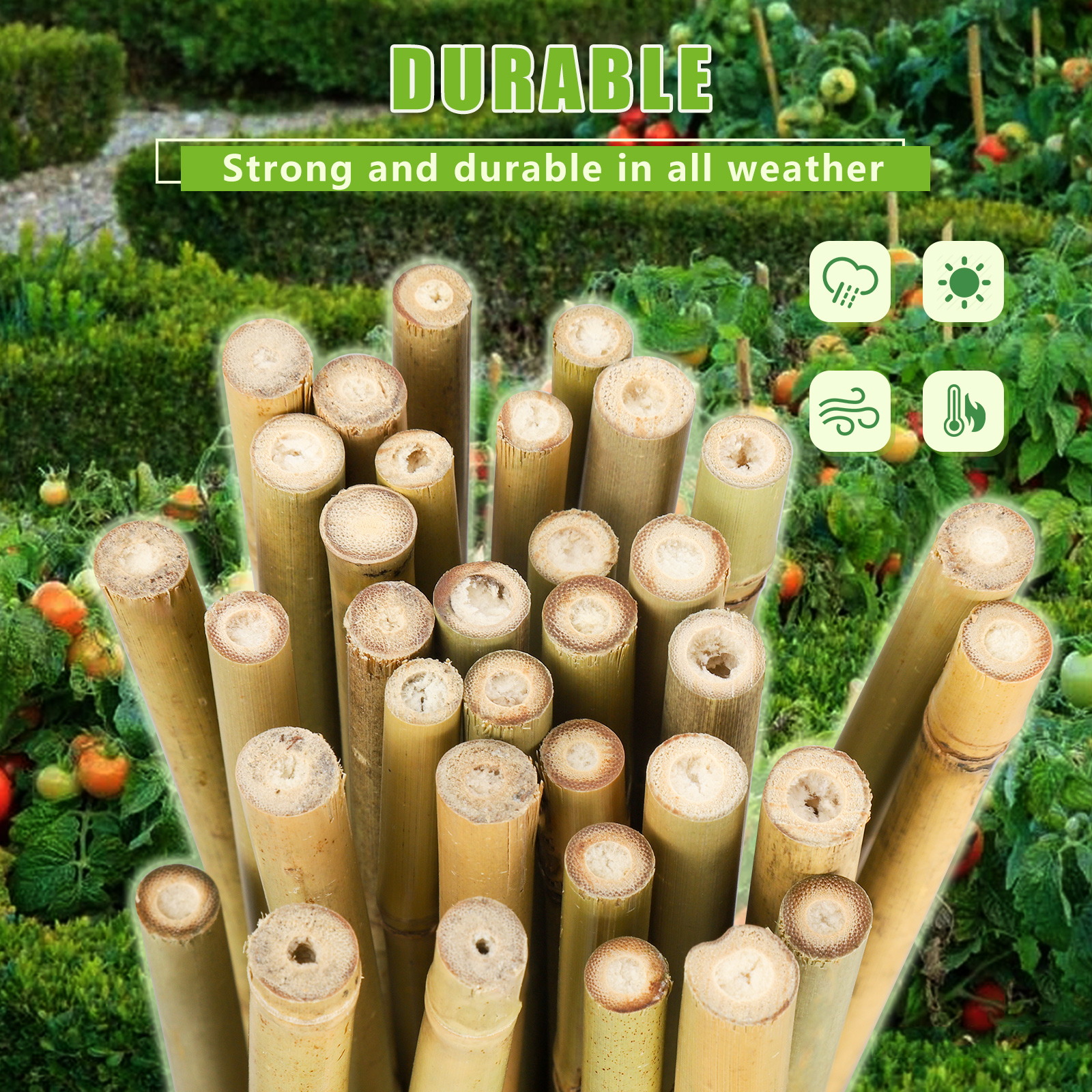 4FT,Diameter 8mm - 10mm Natural Bamboo Plant Stake, Sturdy Bamboo Poles, Durable Plant Bamboo Stake, Garden Climbing Plant Bracket 25pcs. Self-pickup Only photo 3