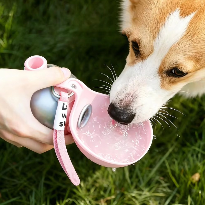 2-in-1 Portable Dog Water Bottle Stainless Steel With Foldable Silicone Bowl photo 4