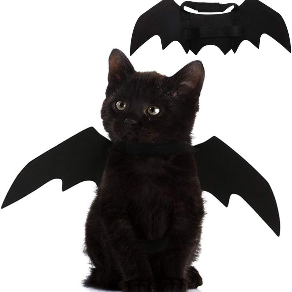 Pet Cat Bat Wings For Halloween Party Decoration, Puppy Collar Leads Cosplay Bat Costume,Cute Puppy Cat Dress Up Accessories photo 1