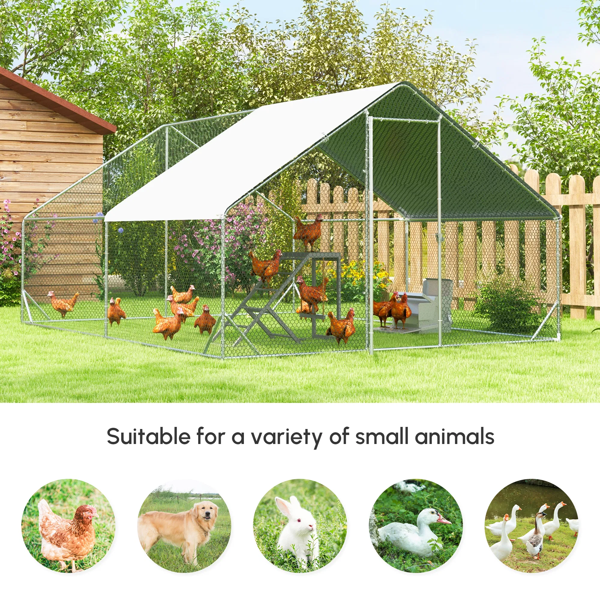 Chicken Coop ( Amazon Shipping)(Prohibited by WalMart) photo 7