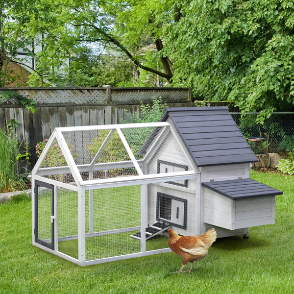 Chicken Coop photo 2