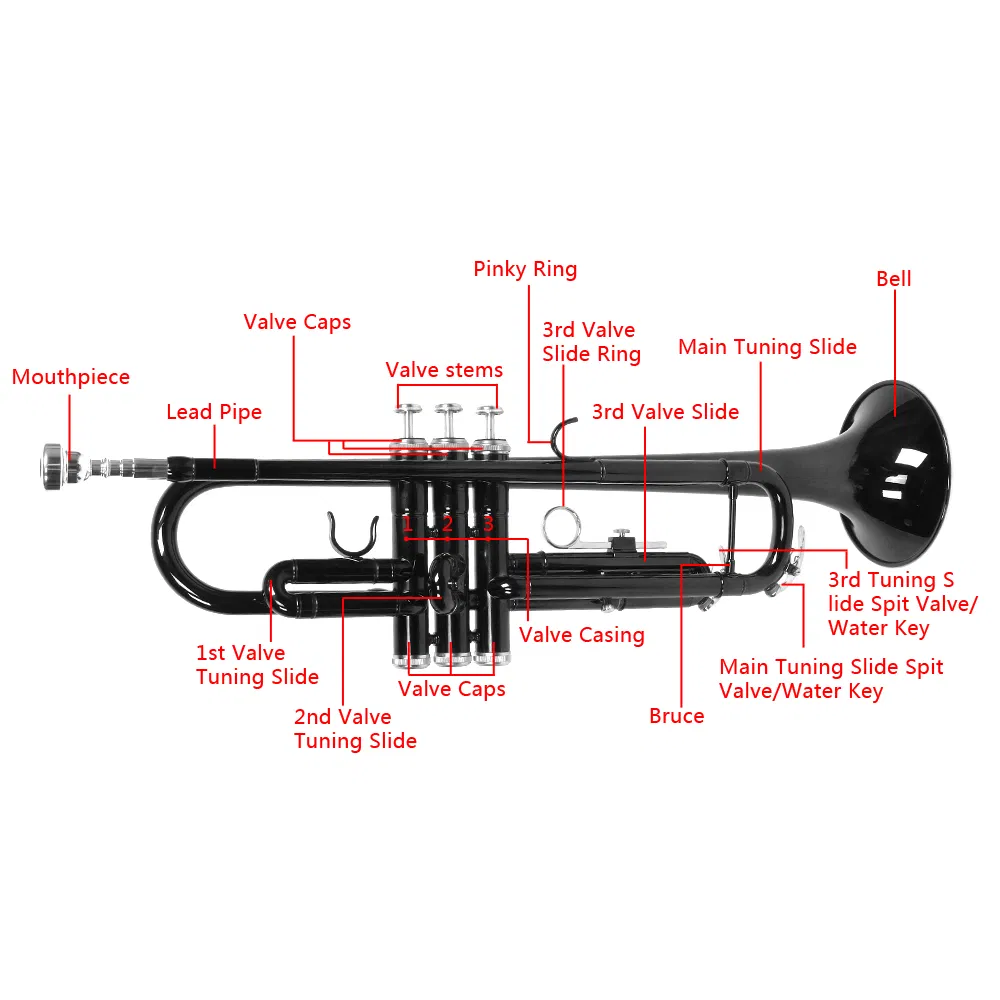 Nickel Plating Trumpet Gloves Set Black photo 3