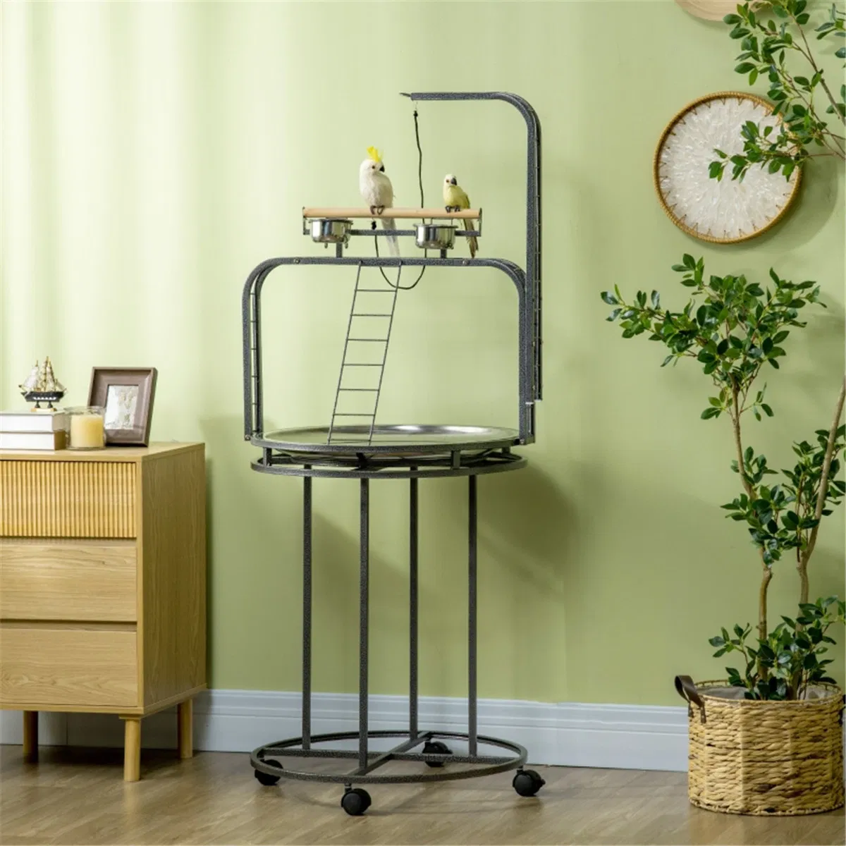 Parrot Stand /Parrot Perch ( Amazon Shipping)(Prohibited by WalMart) photo 1