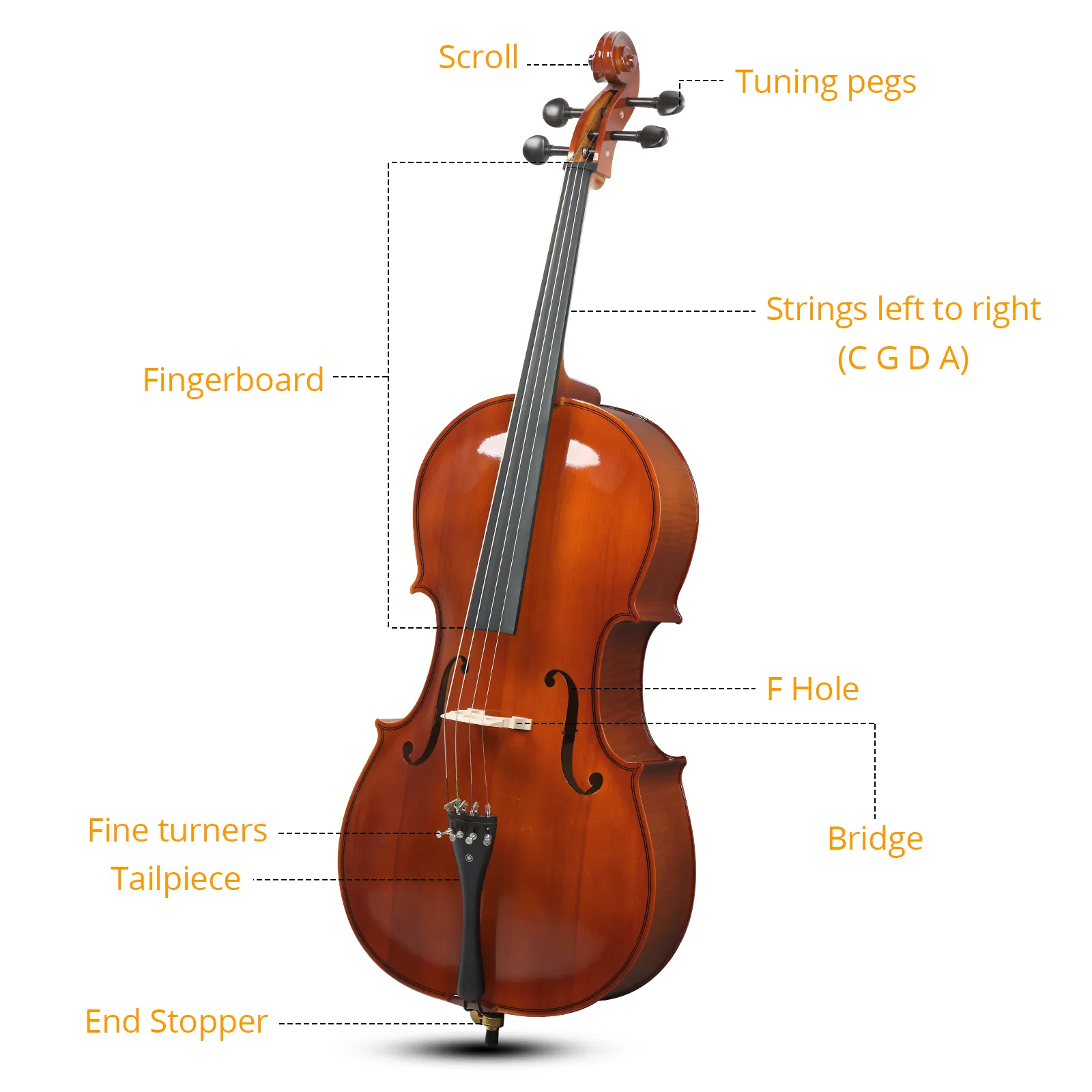 Full Side 4/4 Natural Color Spruce Panel Cello Tiger pattern process with Bag Bow Rosin Bridge Strings photo 4