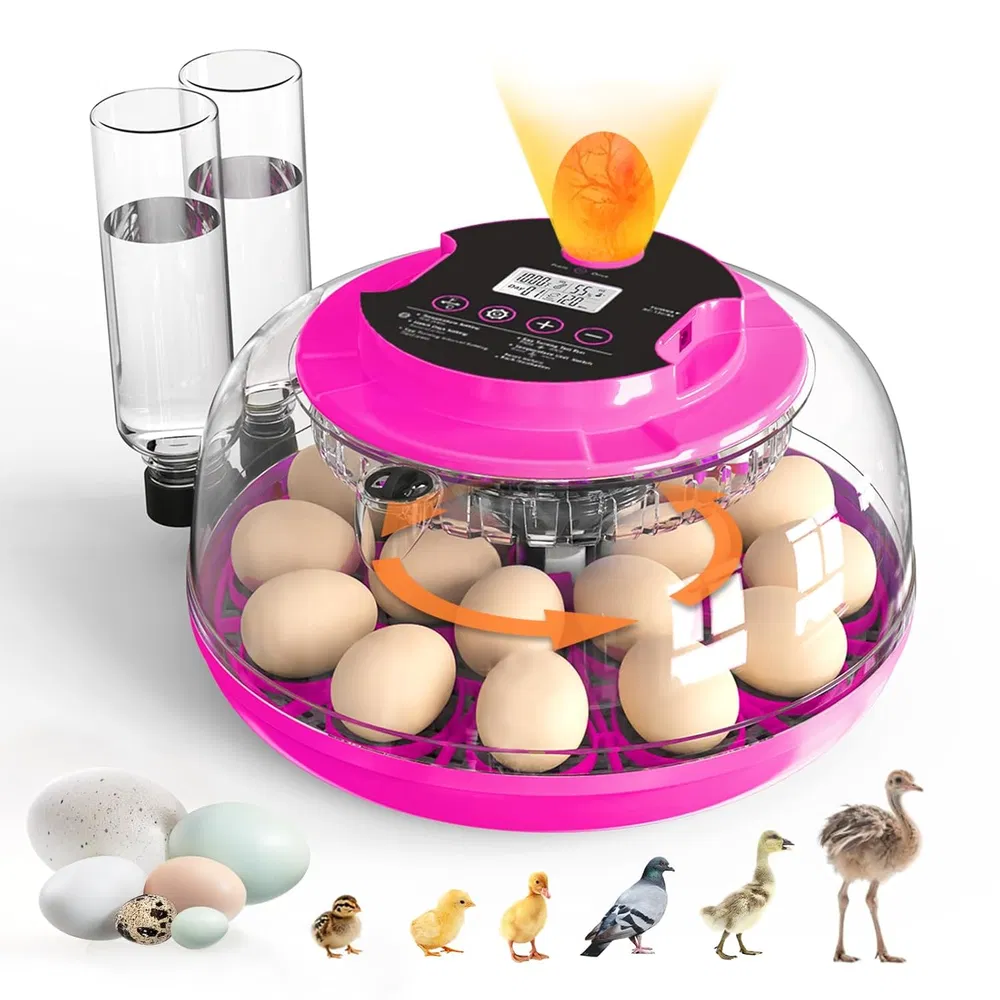 Incubator for Hatching Eggs, 18 Eggs Capacity, Incubators with Egg Candler, Automatic Egg Turner, Temperature & Humidity Control, Full Viewing for Chicken, Duck, Quail, Goose, Parrot, Pigeon photo 2
