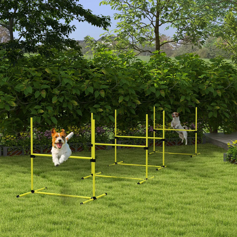 Dog agility training equipment photo 2