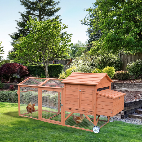 Chicken Coop photo 1