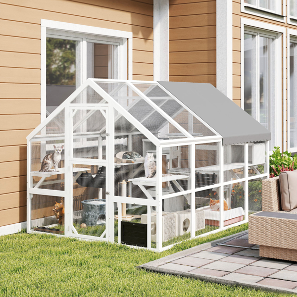 Cat House photo 7