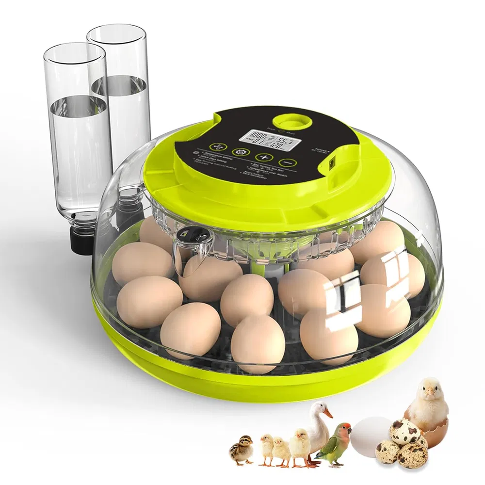 Incubator for Hatching Eggs, 18 Eggs Capacity, Incubators with Egg Candler, Automatic Egg Turner, Temperature & Humidity Control, Full Viewing for Chicken, Duck, Quail, Goose, Parrot, Pigeon photo 3