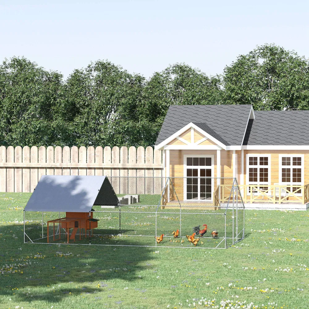 Chicken Coop ( Amazon Shipping)(Prohibited by WalMart) photo 8