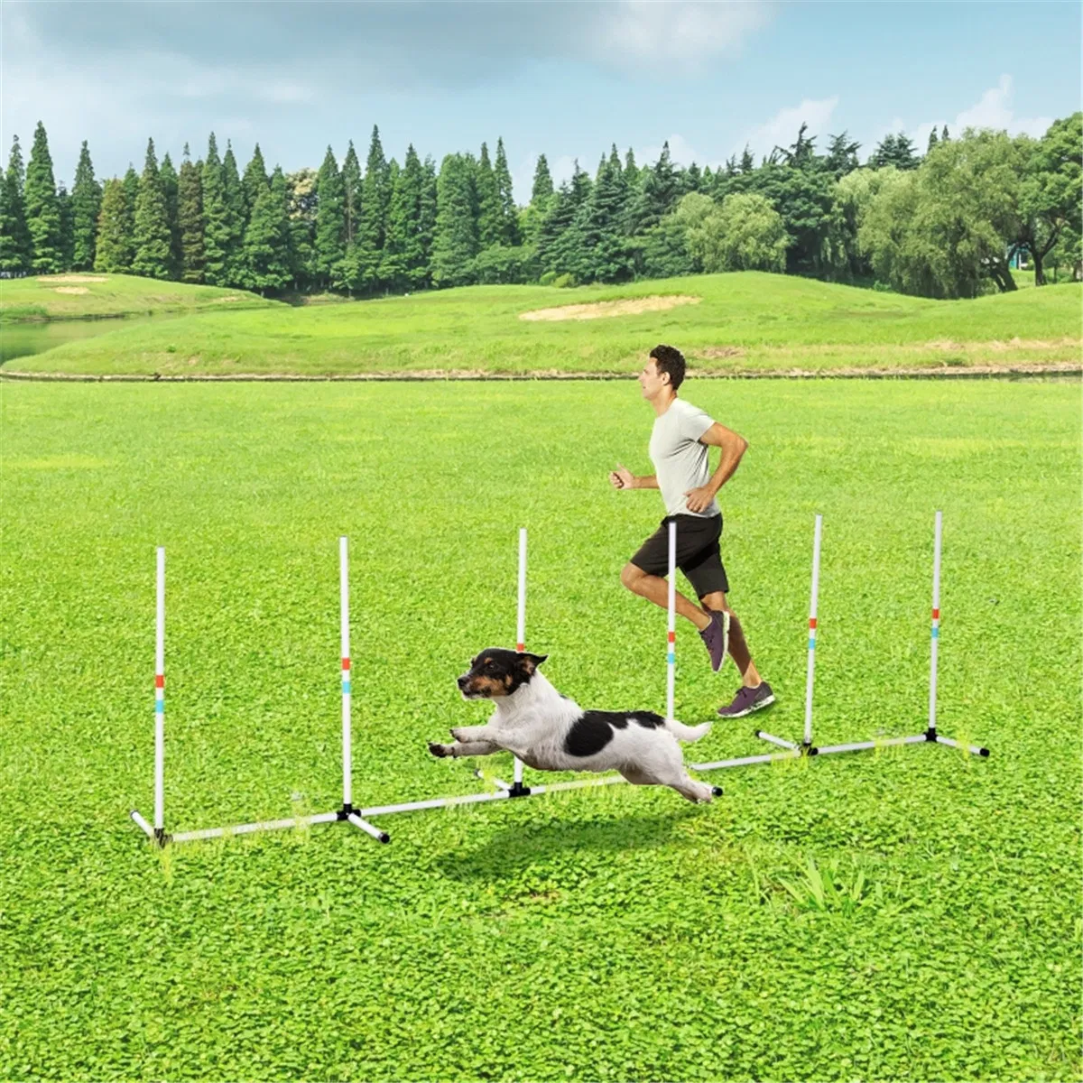 Dog Outdoor Exercise Training Set ( Amazon Shipping)(Prohibited by WalMart) photo 1