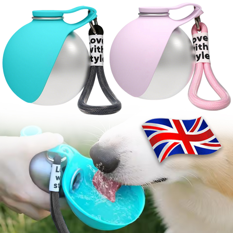 2-in-1 Portable Dog Water Bottle Stainless Steel With Foldable Silicone Bowl photo 1