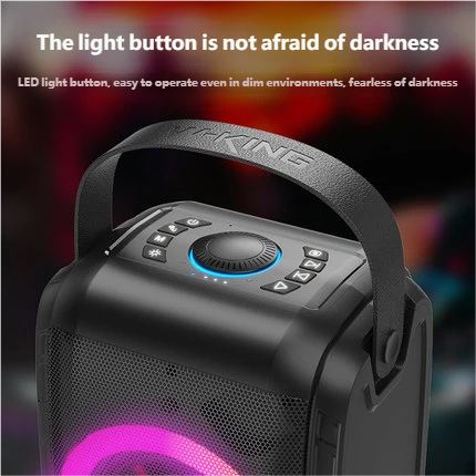 W-King T9S Portable Handheld Karaoke Speaker photo 3