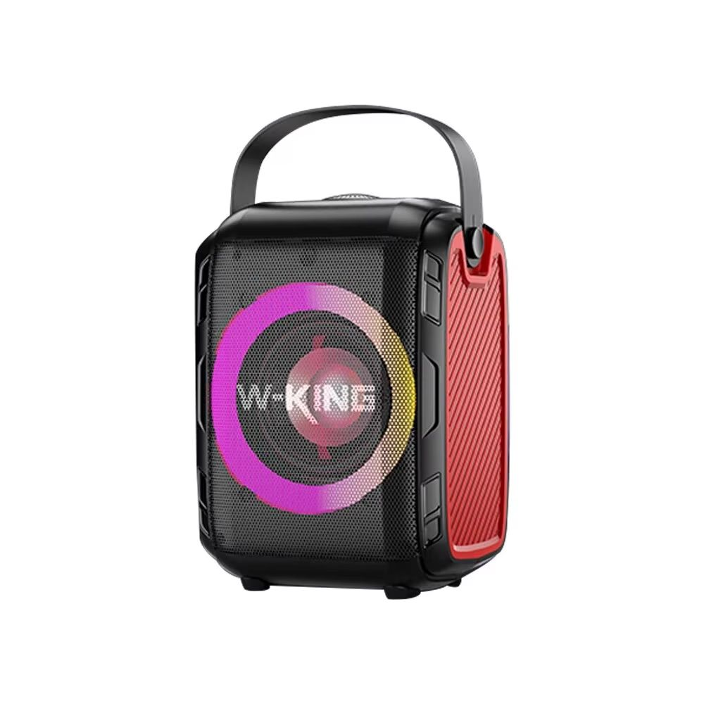 W-King T9S Portable Handheld Karaoke Speaker photo 1