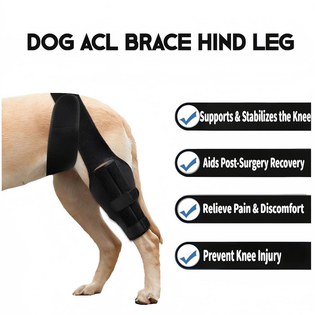 Dog Knee Brace For Torn ACL Hind Leg, Comfortable And Adjustable Support Brace With Two Stabilizer, Dog Leg Braces For Back Leg With Extra Support, Arthritis Relief And Surgery Recovery photo 7