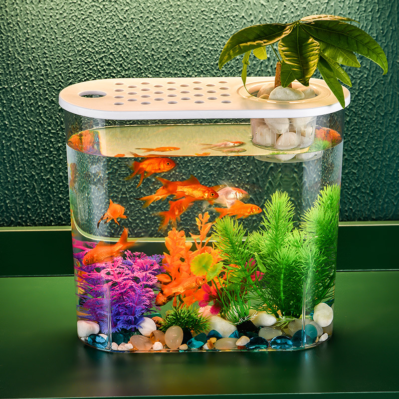 Acrylic Transparent Ecological Incubator Goldfish Tank photo 1