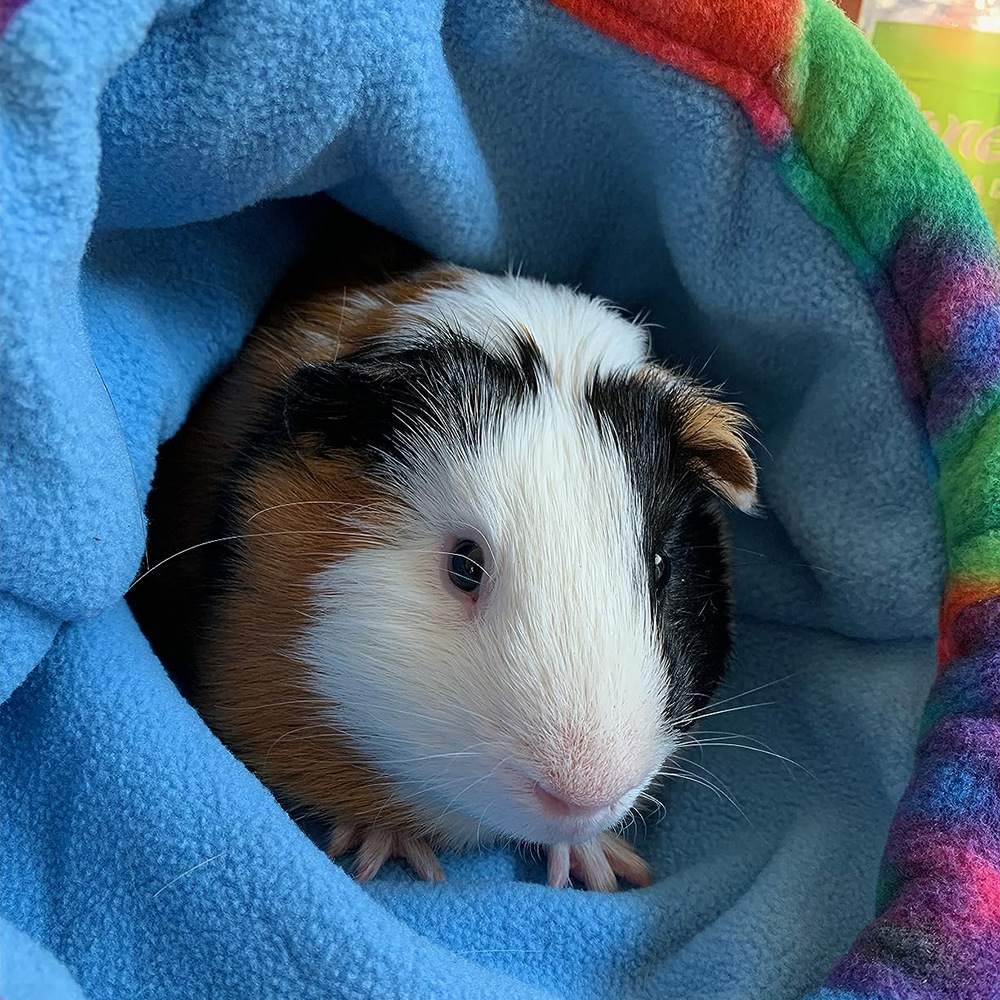 Hamster Sleeping Bag Thickened Warm Pet Bed photo 2