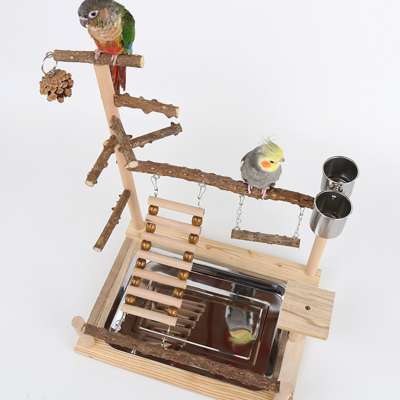Sichuan Pepper Parrot Climbing Training Platform photo 2