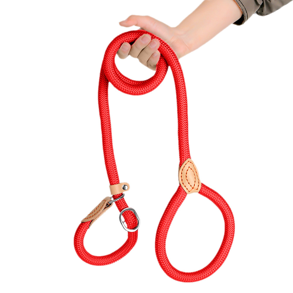 Extended And Thickened Pet Leash For Dogs photo 3