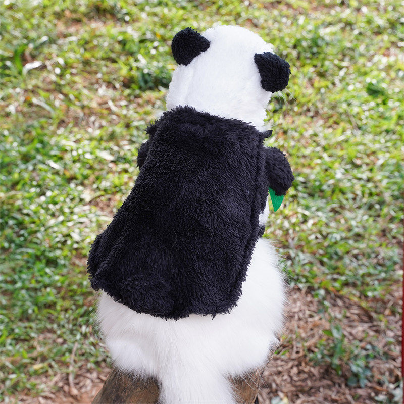 Pet Panda Standing Transformation Costume For Small And Medium-sized Dogs photo 2