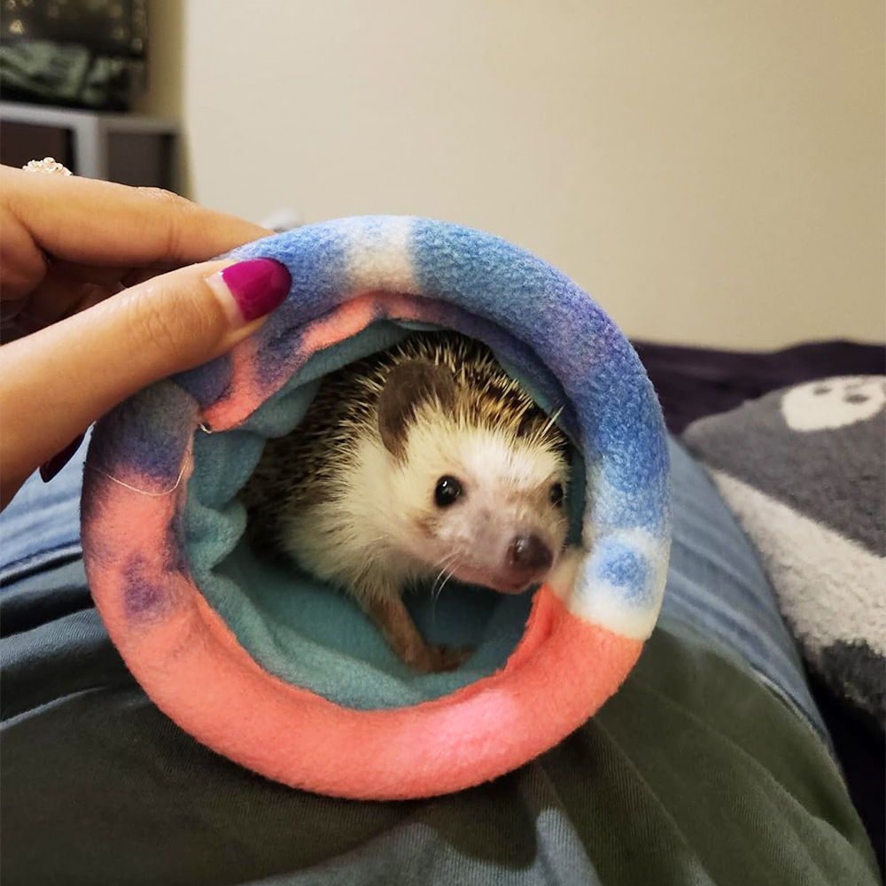 Hamster Sleeping Bag Thickened Warm Pet Bed photo 1