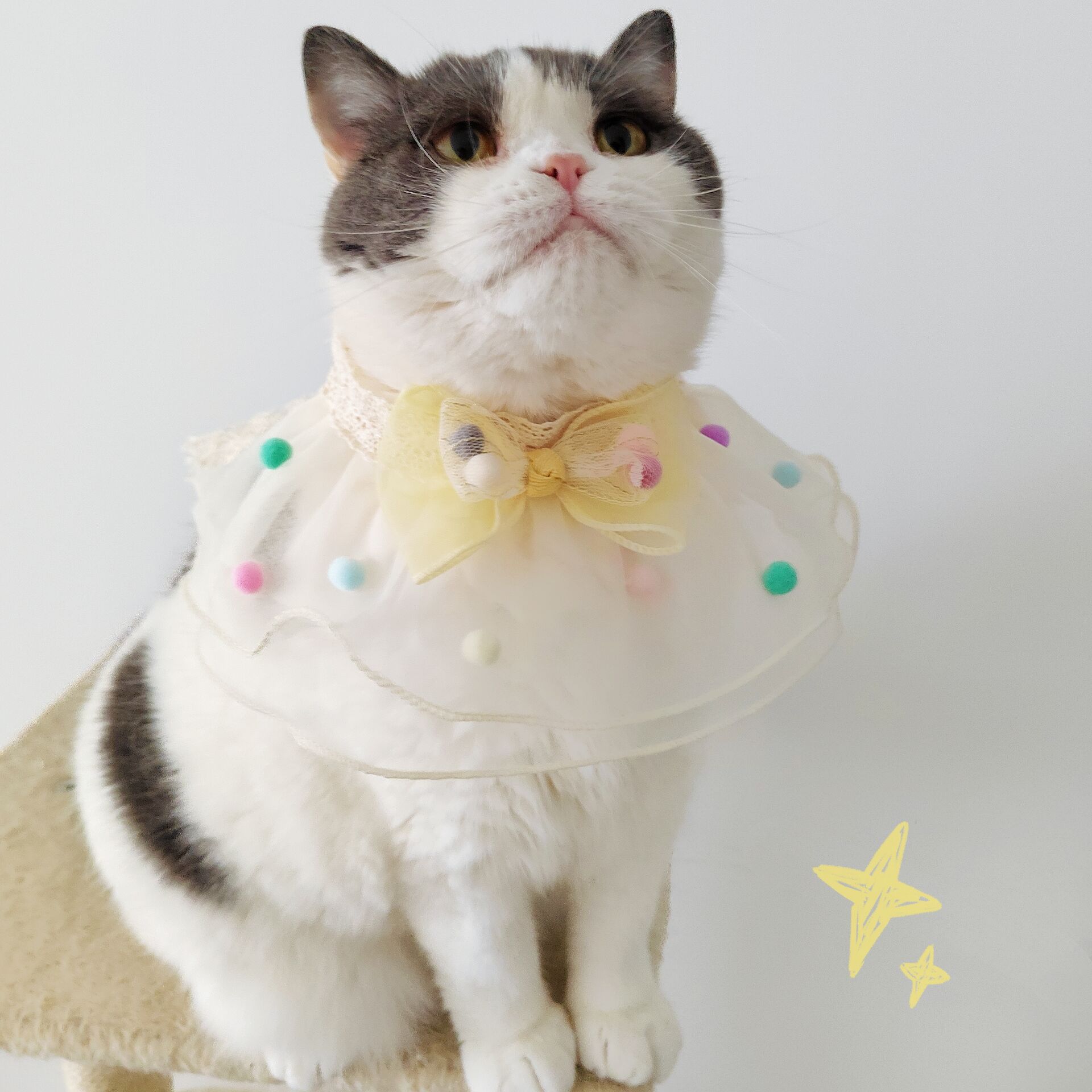 Cat Collar Bow Summer Decoration Dog Scarf Lace Pet Accessories photo 1