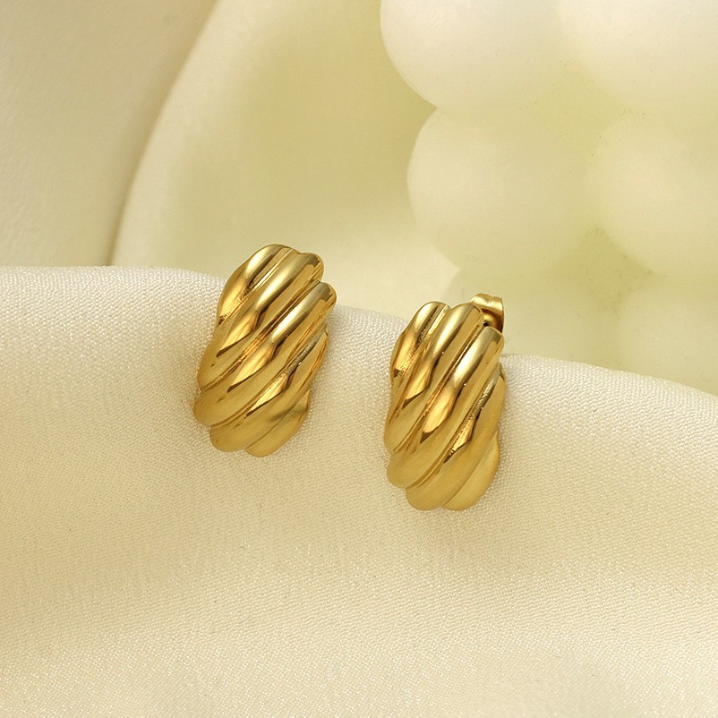 Simple And Versatile Ladies' 316 Stainless Steel Earrings photo 1