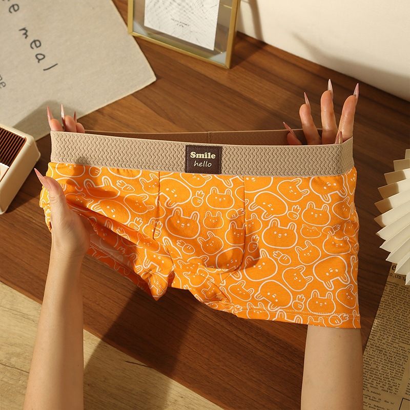 Men's Underwear Cartoon Printed Cotton Briefs photo 6