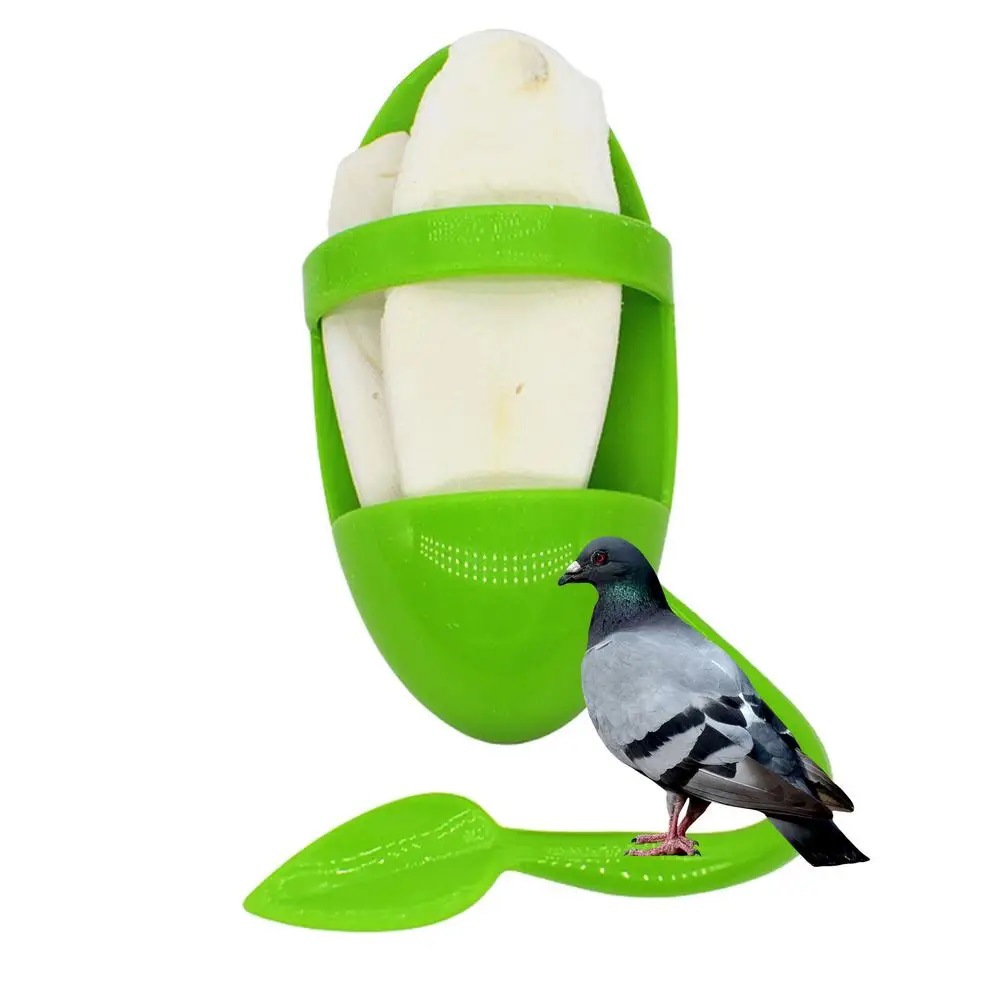 Parrot Food Rack Bird Cuttlefish Skeleton Food Box photo 7