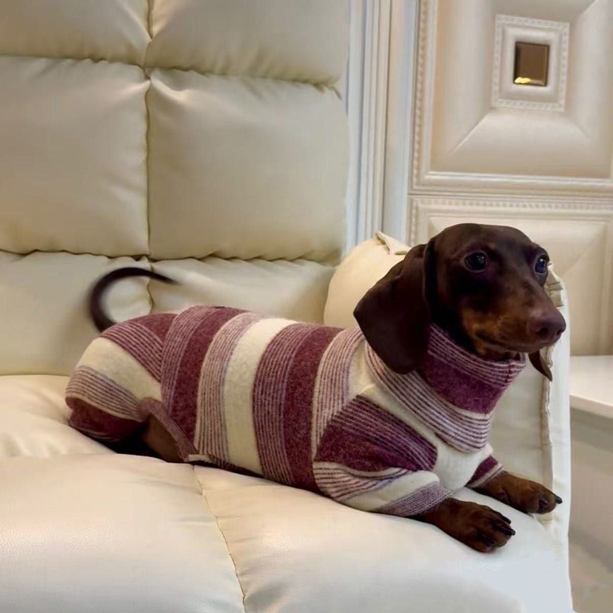Winter-Proof Dachshund Pet Clothes Autumn And Winter High-Neck Style photo 6