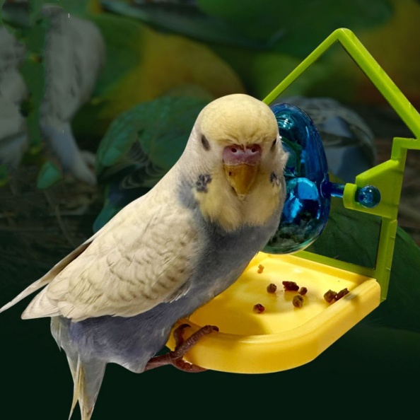 Parrot Food Leakage Toy Bird Cage Accessories photo 1