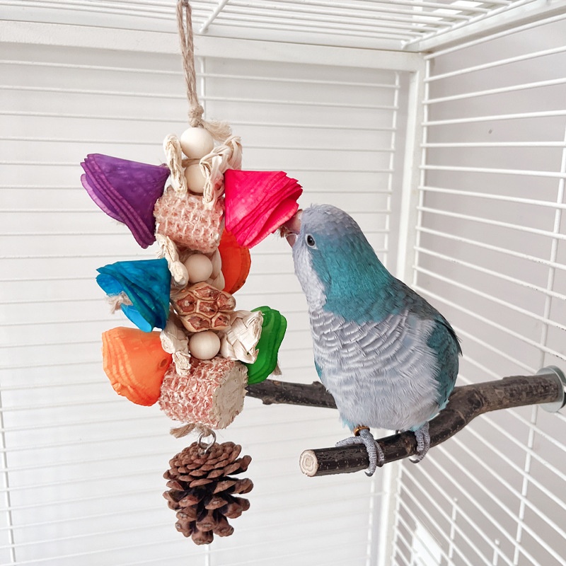 Natural Material Parrot Toy Birdcage Pendant photo 2
